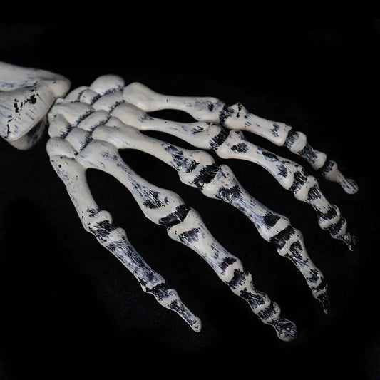 Halloween Skelett Set – 3 delar för maxad skräckstämning!